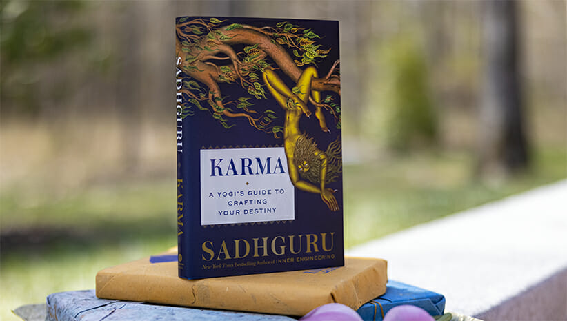 Karma Book Cover