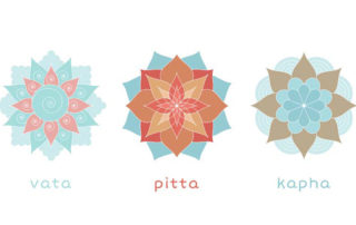 Ayurveda the three doshas and the five elements